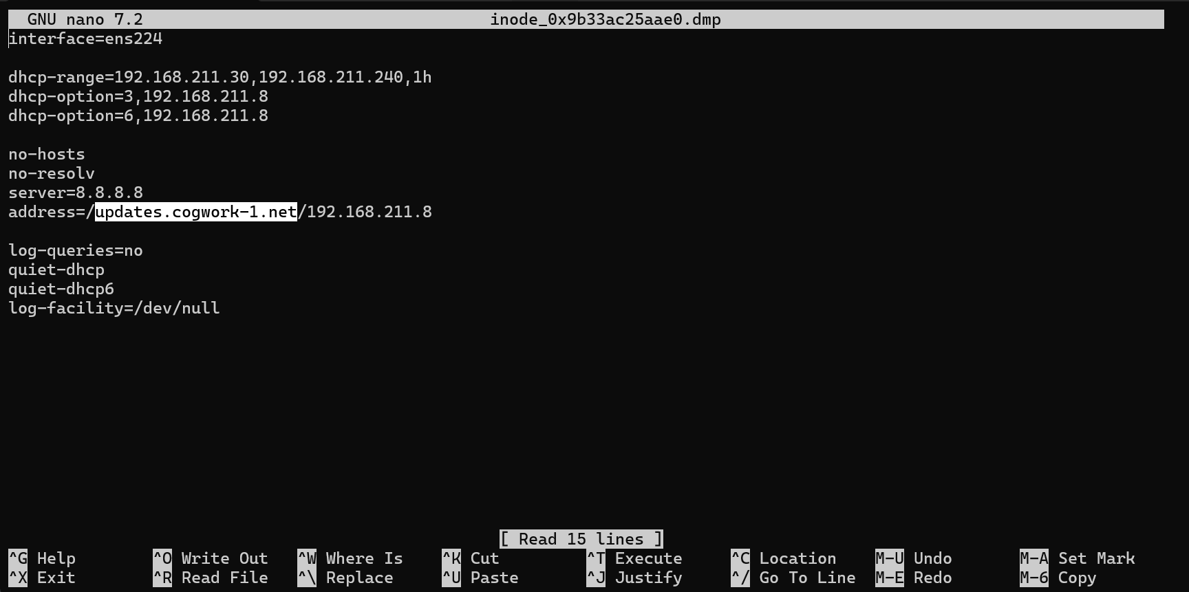 dnsmasq.conf file contents